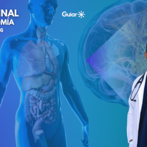 Curso Final de Anatomía 2025 - 2026 Virtual